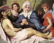 Andrea del Sarto Lamentation of Christ gg oil painting reproduction